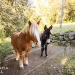 La Coma D'en Roca *