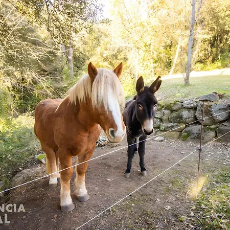 La Coma D'en Roca *