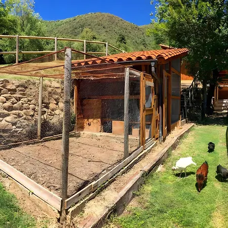 La Coma D'en Roca