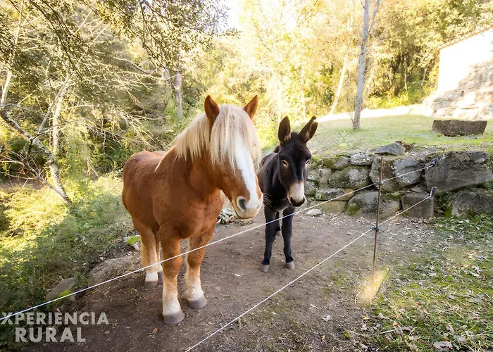 La Coma D'en Roca Country house *
